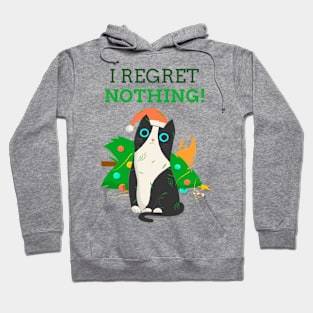 Cat has no regret Hoodie